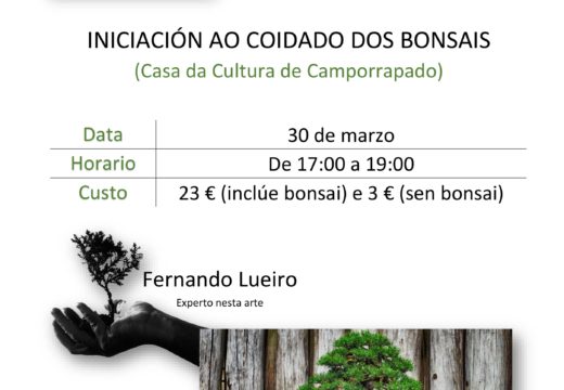 O Concello de Boqueixón organiza un Obradoiro de iniciación ao coidado dos bonsáis